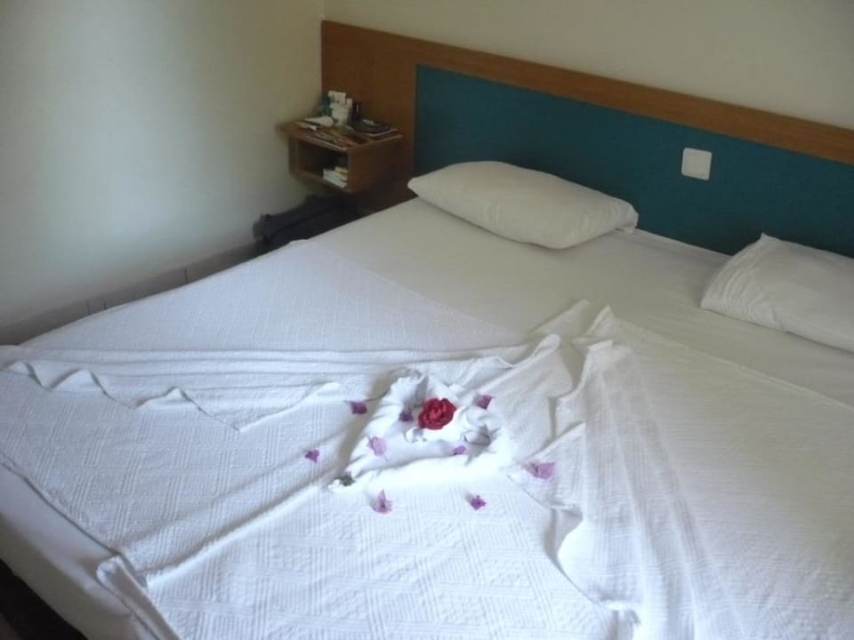 Pokój Hotel Aslan City Kleopatra