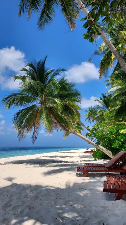 Strand Filitheyo Island Resort