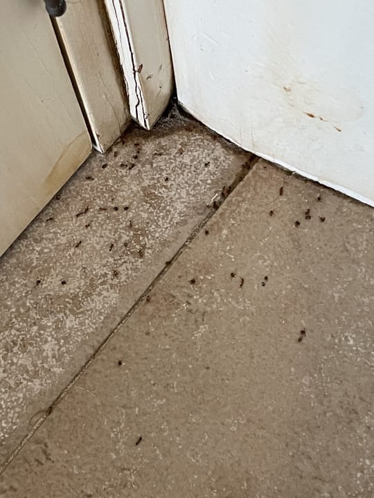 Zimmer Insotel Punta Prima Prestige Suites & Spa