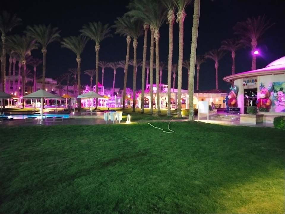 Pool Beach Albatros Resort