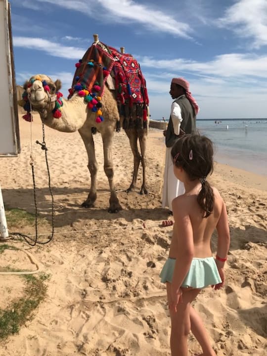 Strand Prima Life Makadi Resort