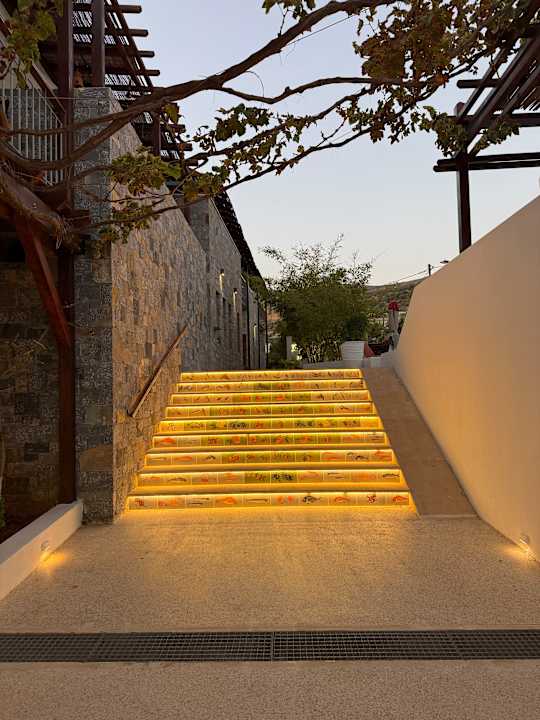 Außenansicht Kalypso Hotel