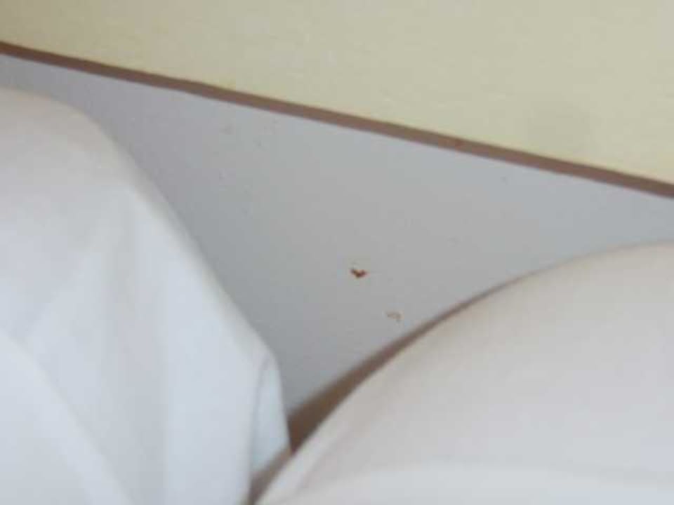 Bett Djerba Castille