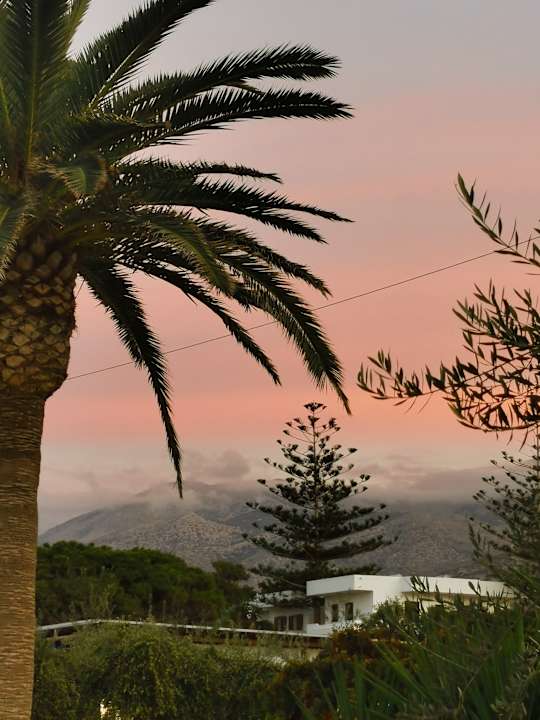 Ausblick Sentido Kyknos Beach Adults Only 16+