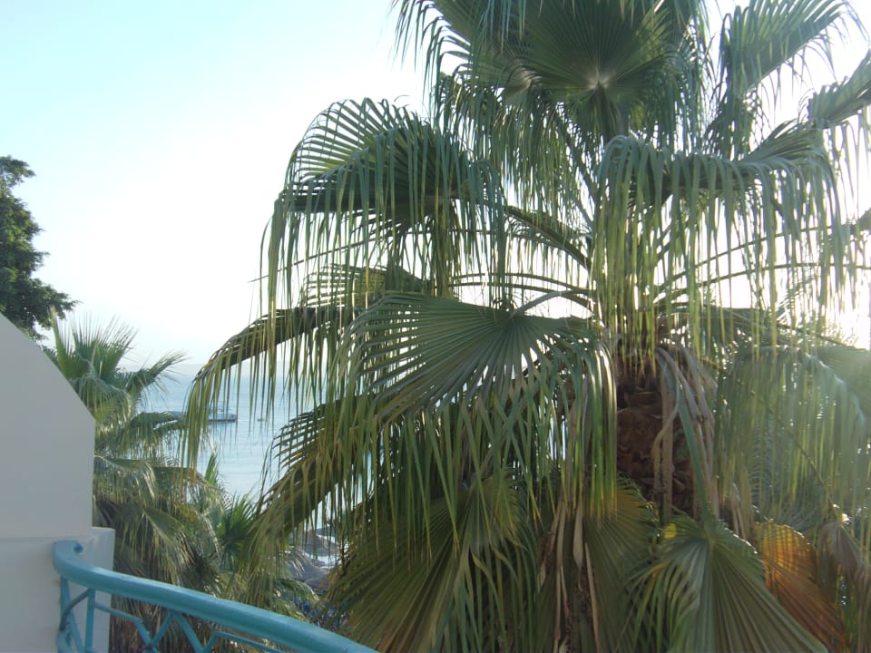 Ausblick Bella Vista Resort Hurghada