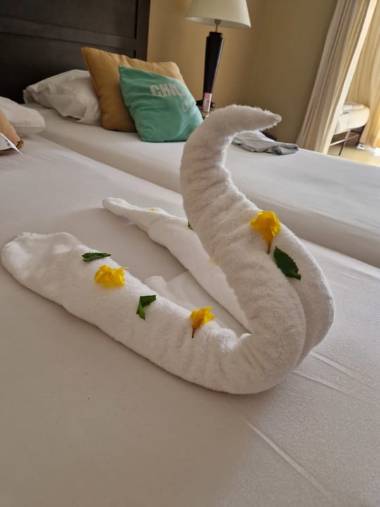 Zimmer Jaz Dar EL Madina