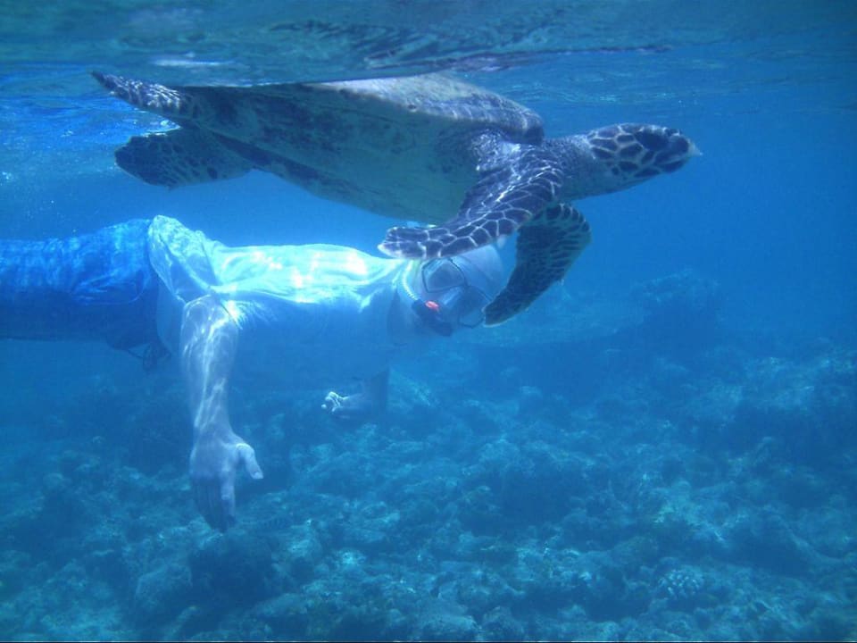 Schnorchelausflug Summer Island Maldives