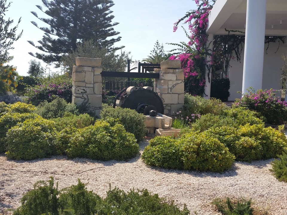 Einfahrt Hotel Nissi Beach Resort