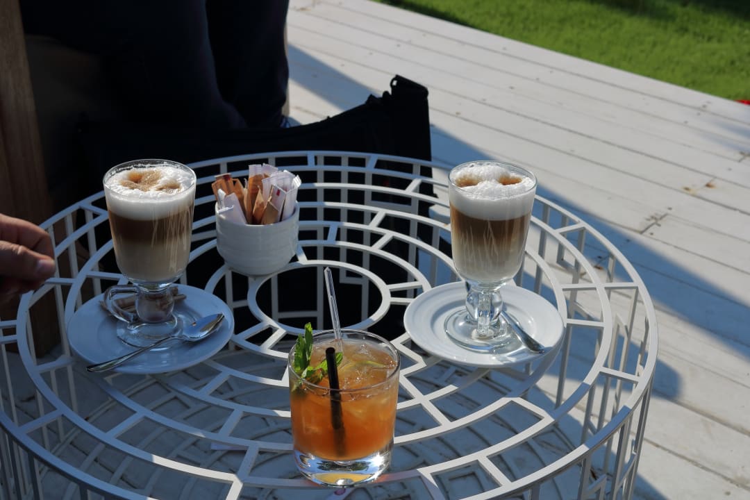 Gastro Acanthus Cennet Barut Collection