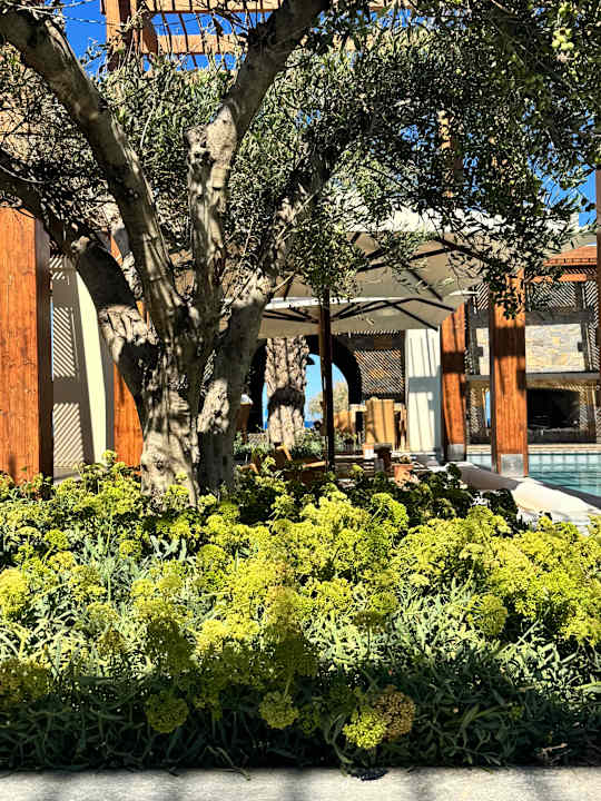 Gastro Amirandes A Grecotel Resort To Live