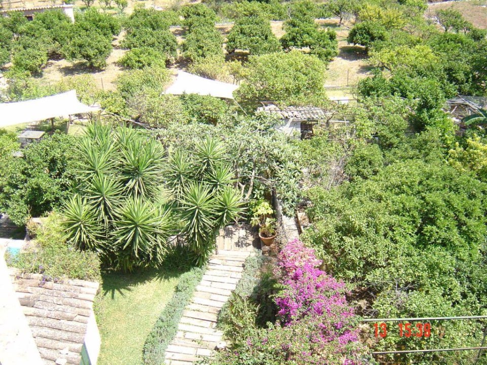 Blick aus dem Zimmerfenster in den Garten und die Berge Fornalutx Petit Hotel