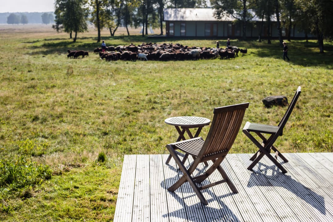 Gartenanlage HOTELCAMP REINSEHLEN