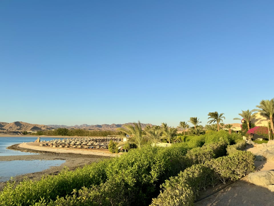 Ausblick TUI MAGIC LIFE Kalawy