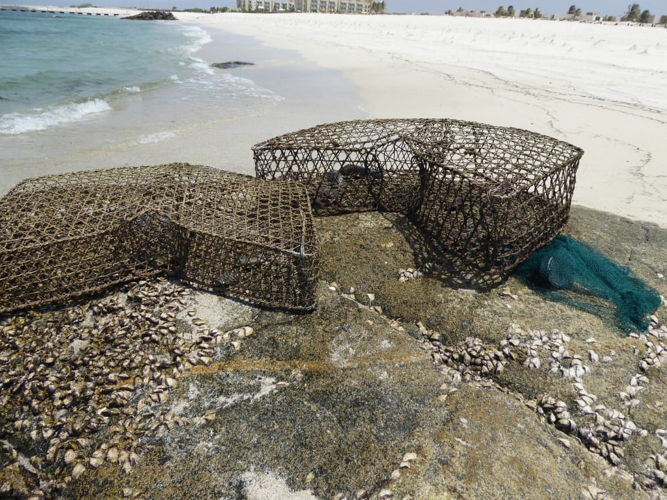 Strand Wyndham Garden Salalah Mirbat