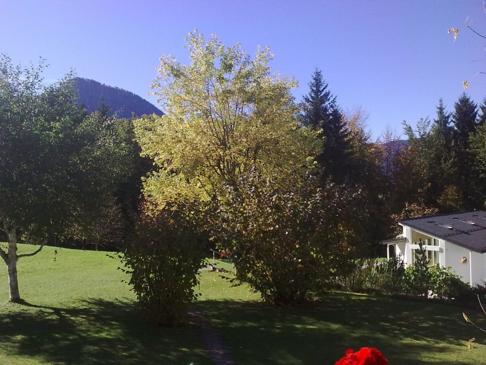 Blick aus dem Zimmer Alm- & Wellnesshotel Alpenhof