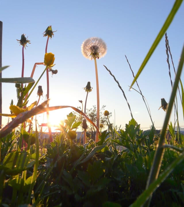 Sonnenaufgang, Morgenstimmung Ferienwohnungen Berghof Kinker