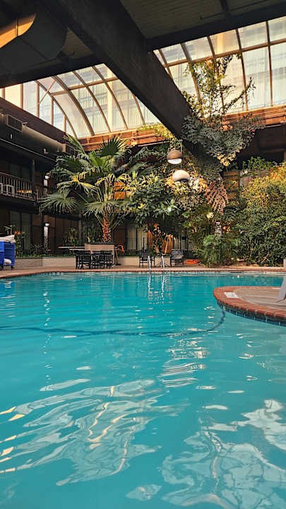 Pool M Hotel Buffalo