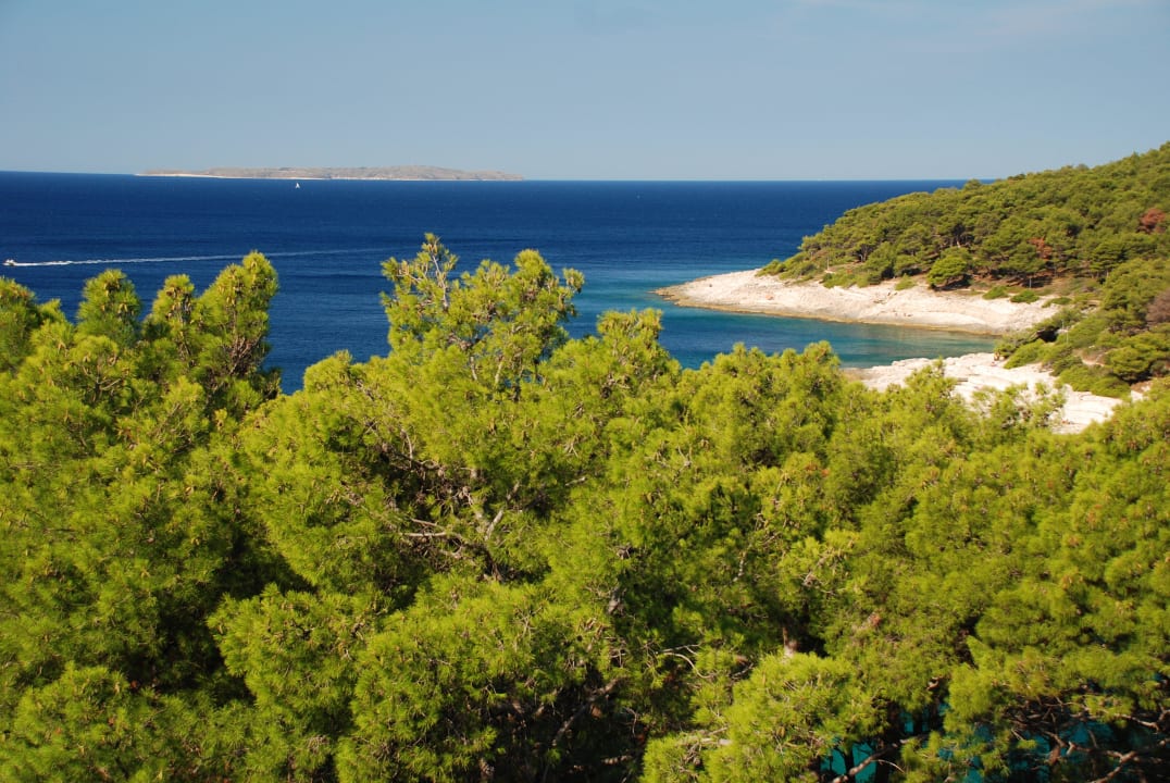 Hotel Aurora Hotel Aurora