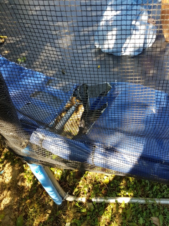 Sport & Freizeit Bauernhof Kerndlerhof