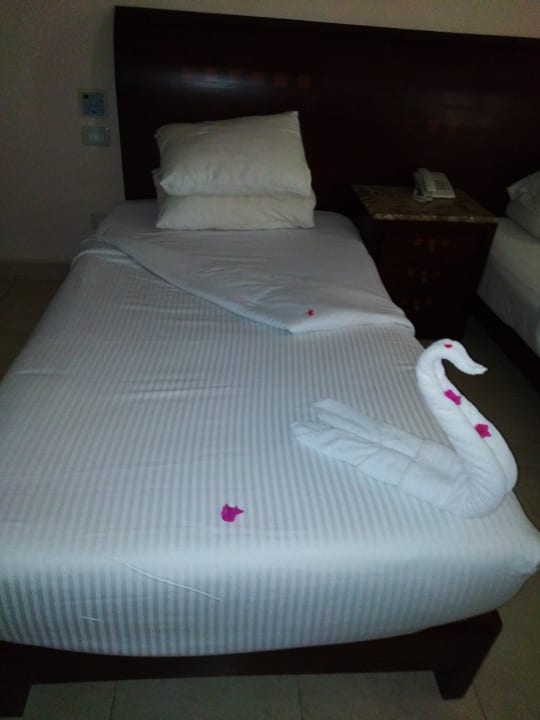 Zimmer Shams Prestige Abu Soma-Adults Only