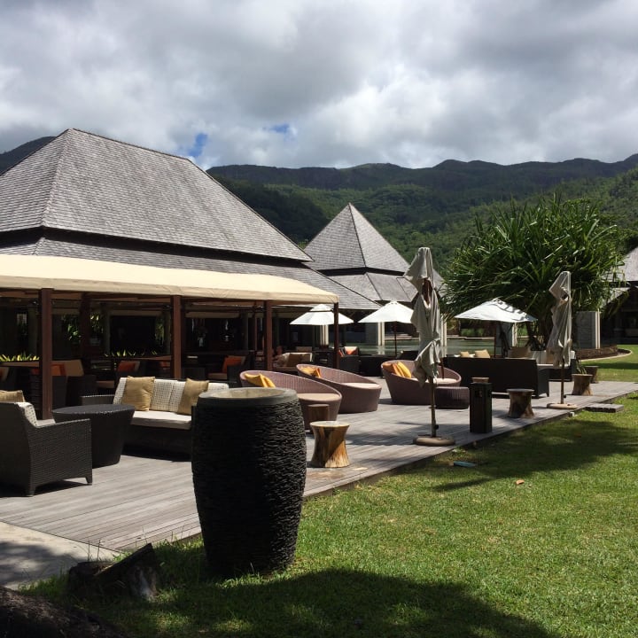 Bar Constance Ephelia