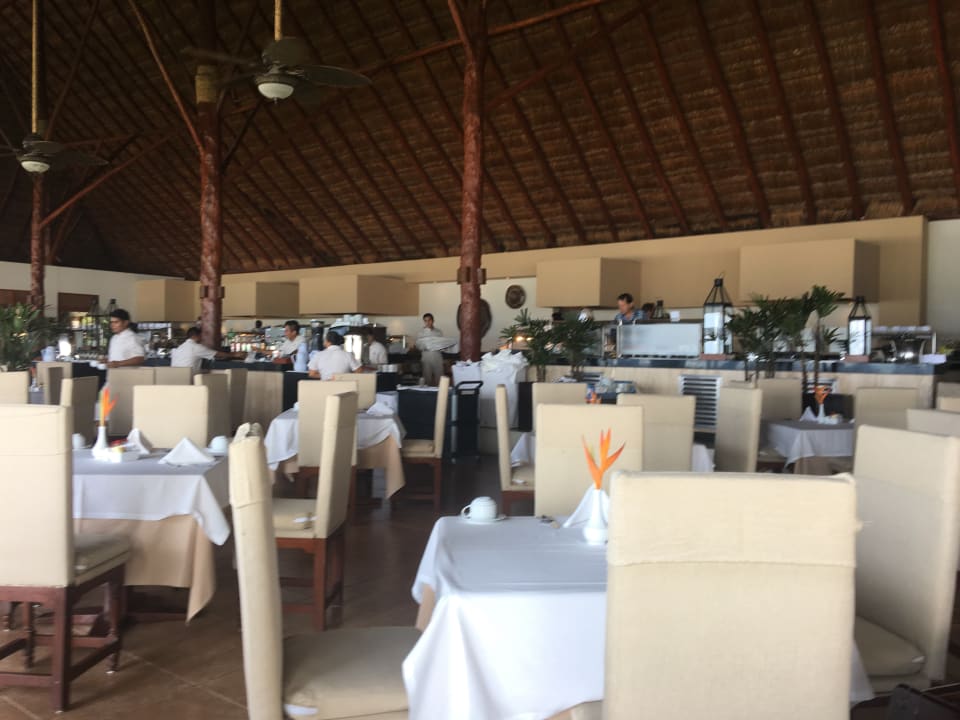 Gastro Akumal Bay Beach & Wellness Resort