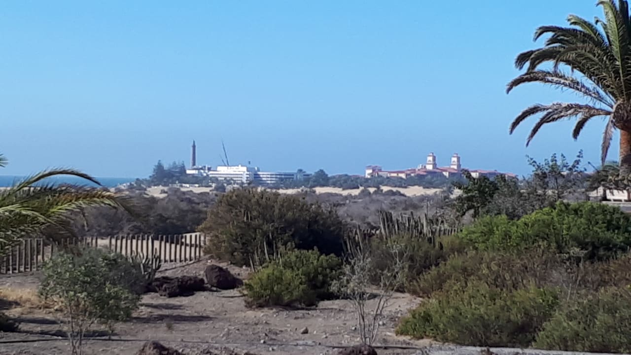 Ausblick Hotel Riu Palace Palmeras
