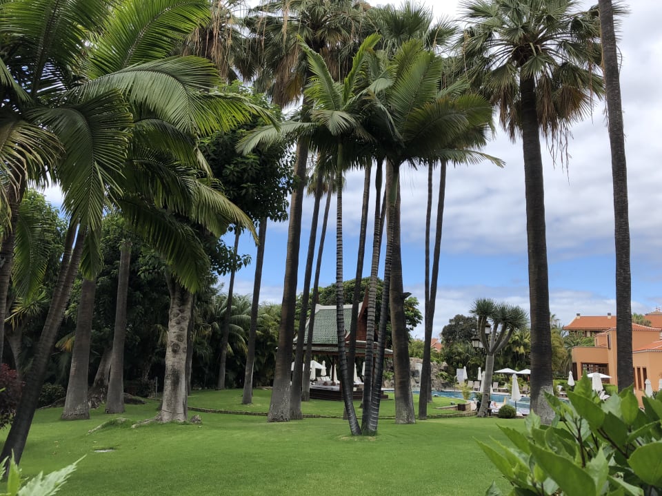 Gartenanlage Hotel Botanico & The Oriental Spa Garden