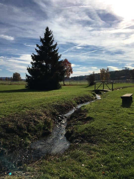 Gartenanlage Landhotel Alte Mühle