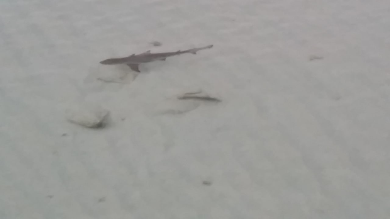 Strand ROBINSON MALDIVES