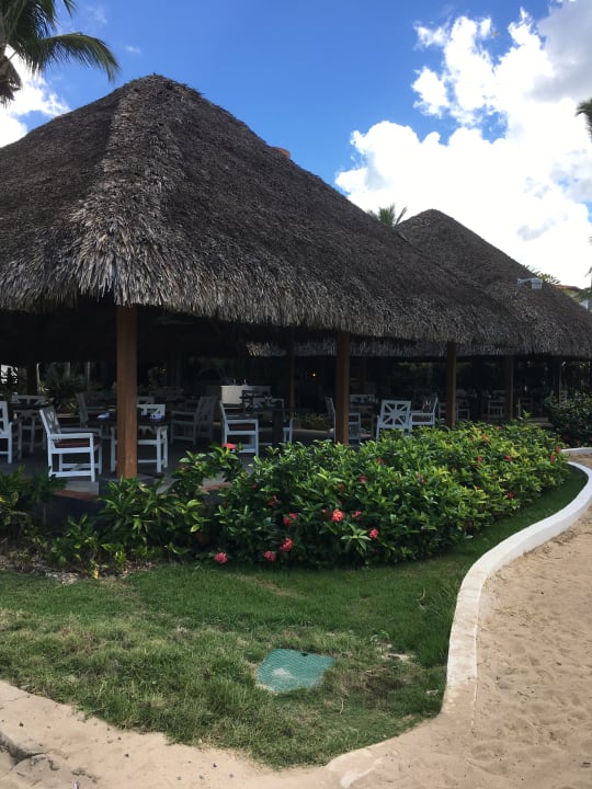 Gartenanlage Catalonia Royal La Romana - Adults only