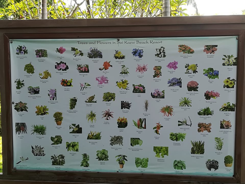 Gartenanlage Sai Kaew Beach Resort