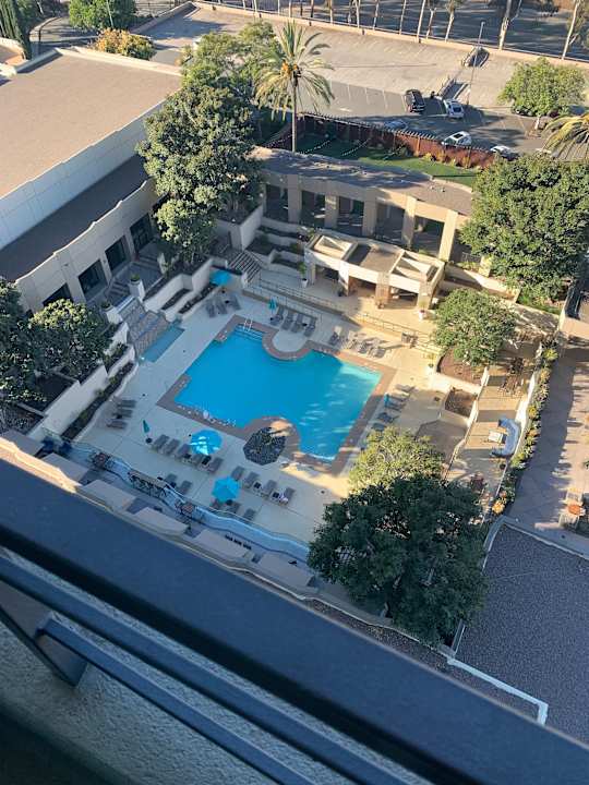 Pool Hotel Marriott San Diego Mission Valley