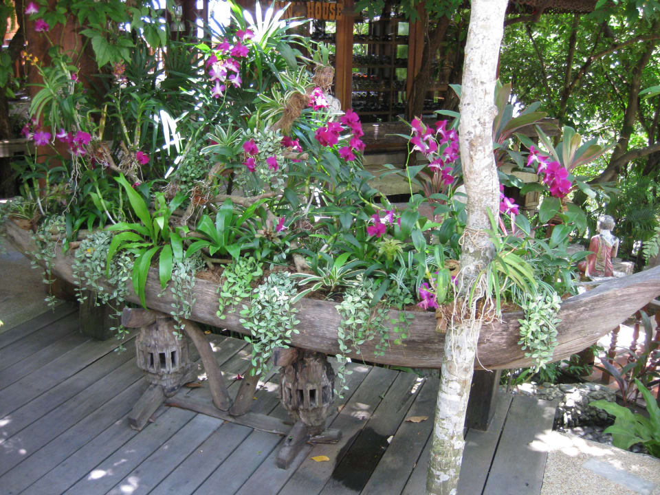 Sowas gibts überall im Hotel Santhiya Koh Phangan Resort & Spa