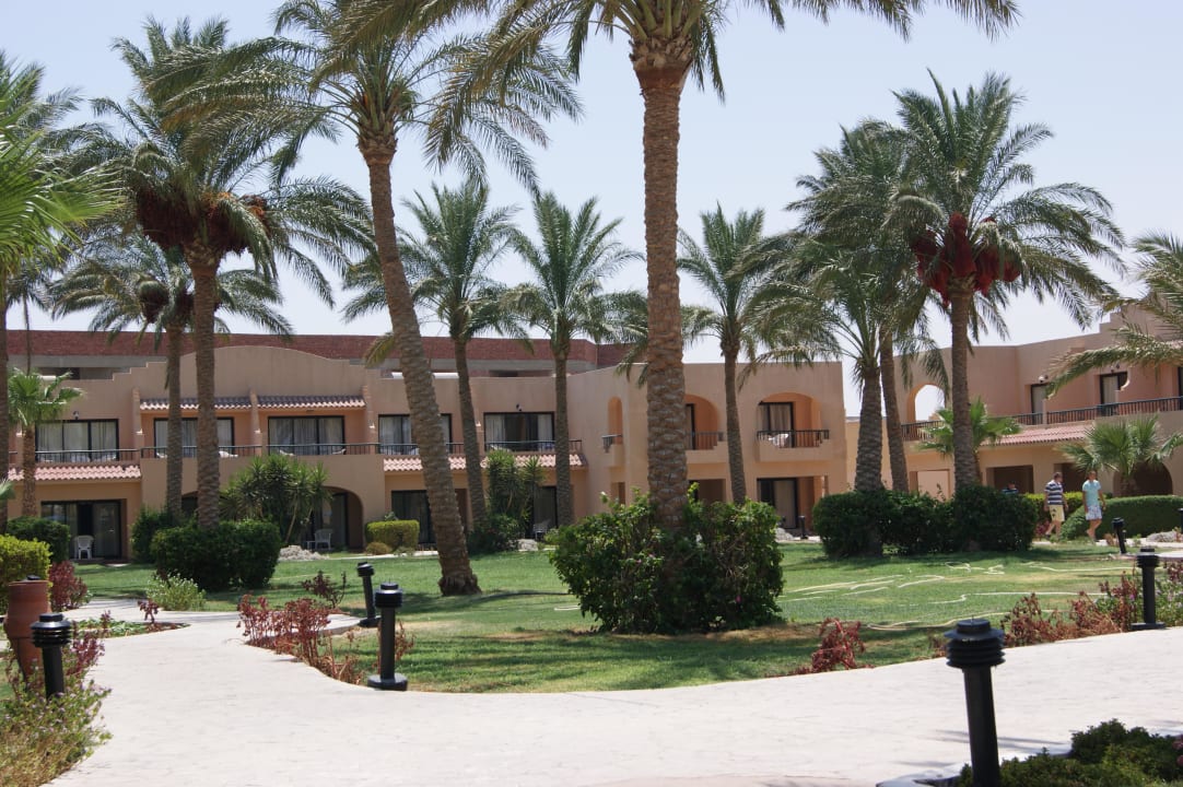 Ogród Ali Baba Palace Resort