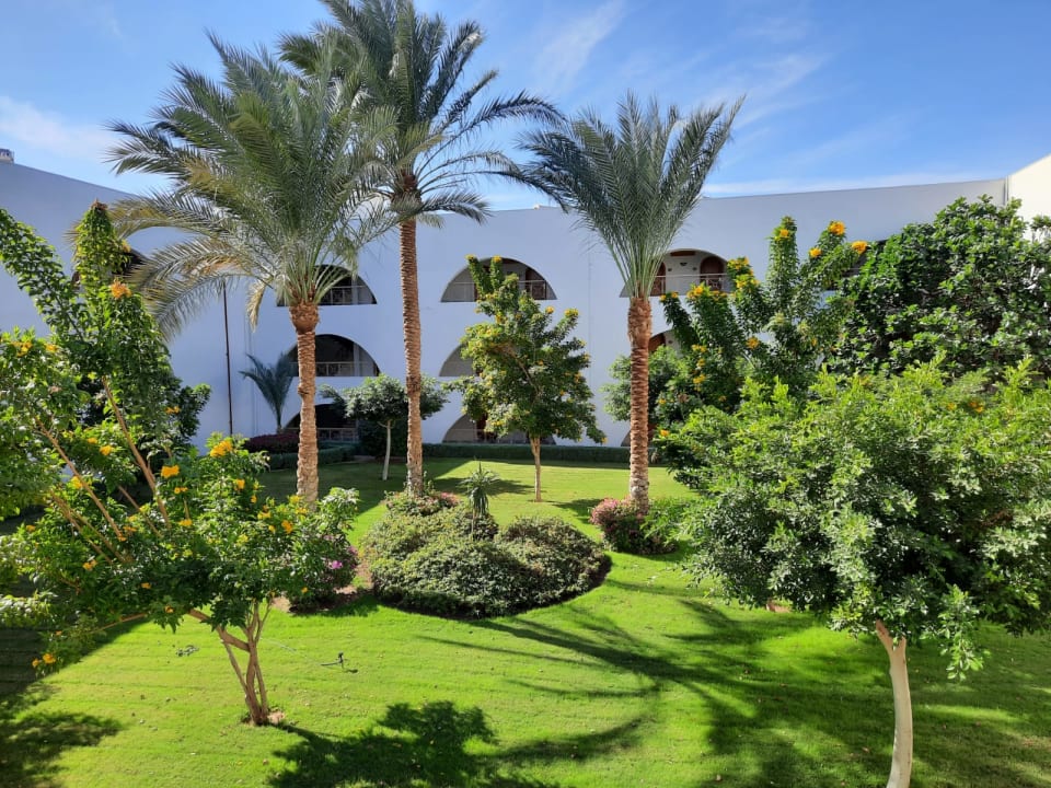 Gartenanlage Desert Rose