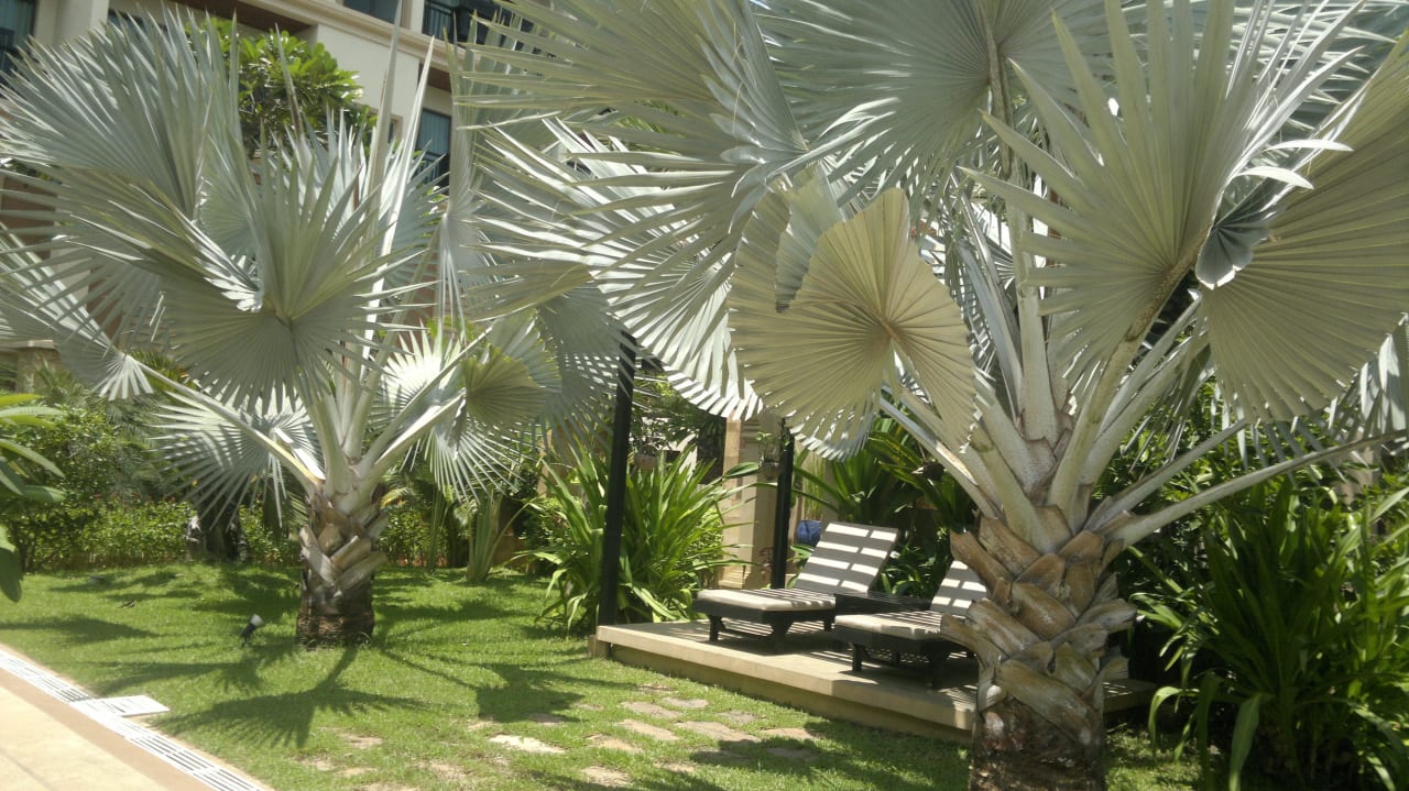 Hotel Angkor Miracle Resort & Spa Angkor Miracle Resort & Spa