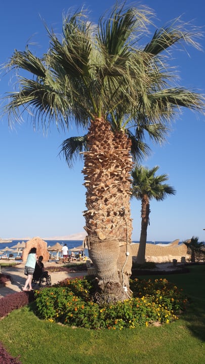 Gartenanlage Charmillion Sea Life Resort