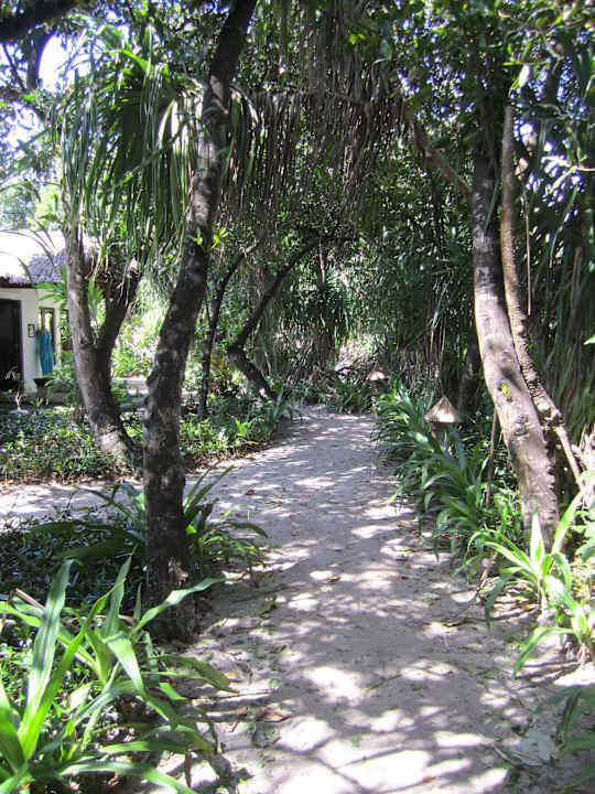 Weg zum Spa-Bereich NH Collection Maldives Reethi Resort