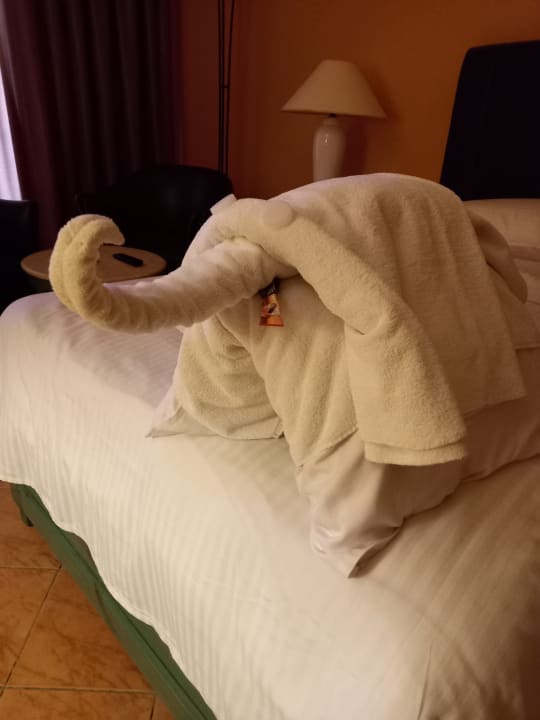Zimmer Arabia Azur Resort