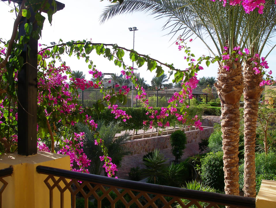 Zimmerblick Jaz Solaya