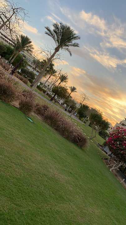 Gartenanlage Steigenberger Aqua Magic