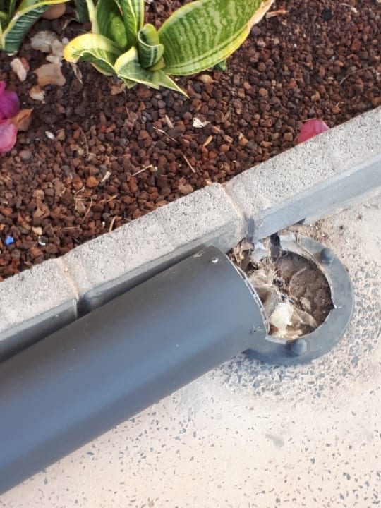 Sonstiges Club Hotel Drago Park