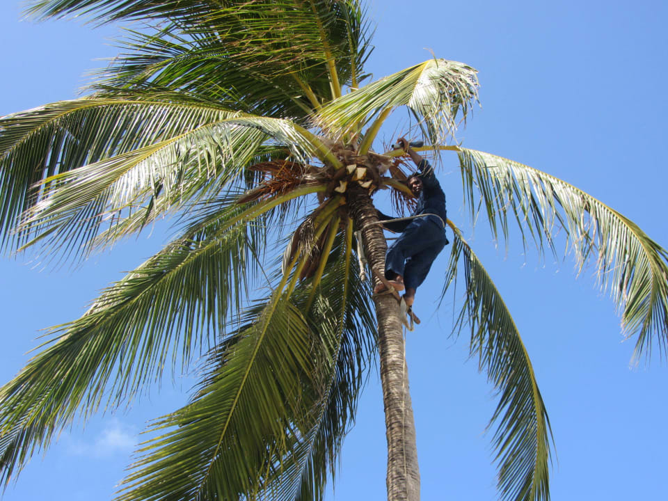 Kletterspezis  Kuredu Island Resort & Spa