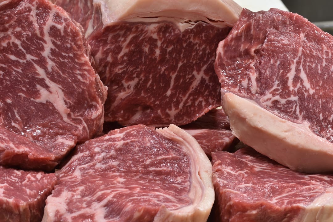 Gastro Hotel Monte Paraccia