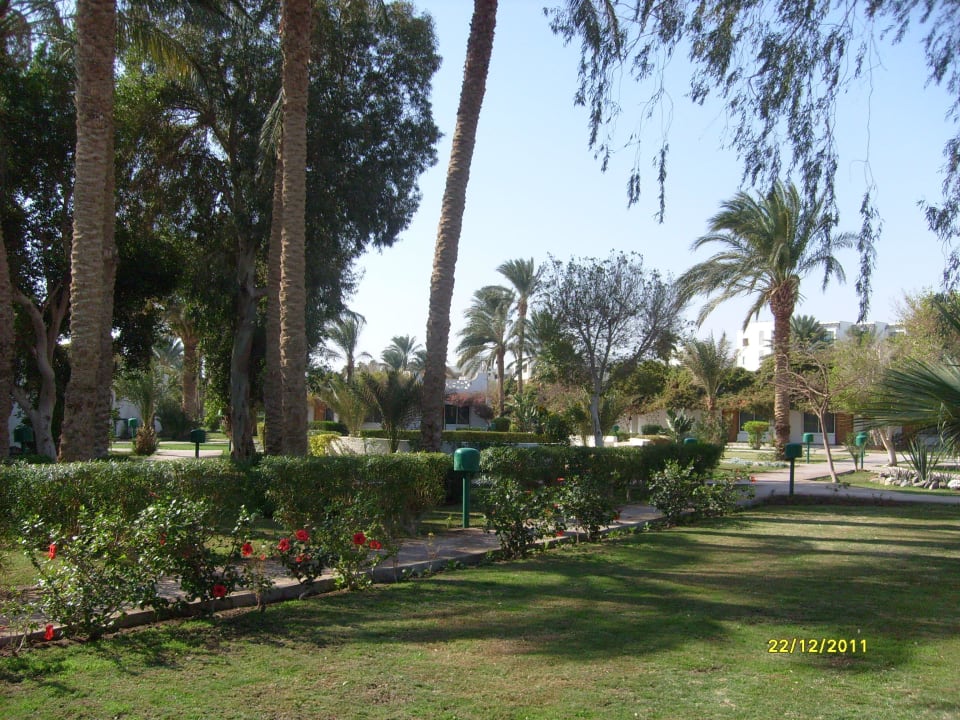 Garten Shams Safaga Resort