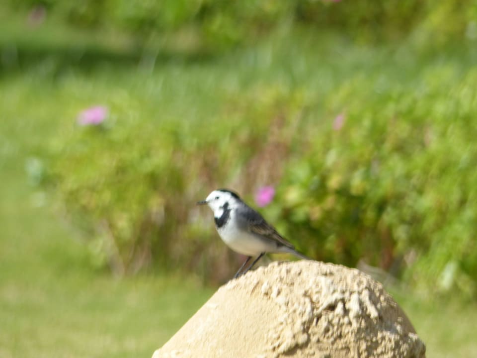 Vogel Three Corners Equinox Beach Resort