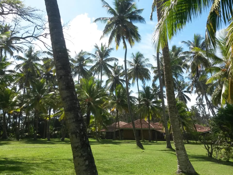 Gartenanlage  Hotel Club Bentota
