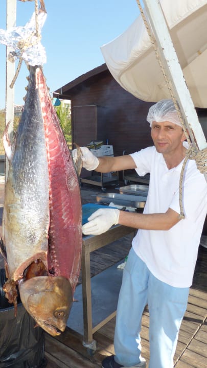 Tunfisch - Grillen am Strandrestaurant Sunis Evren Beach Resort Hotel & Spa