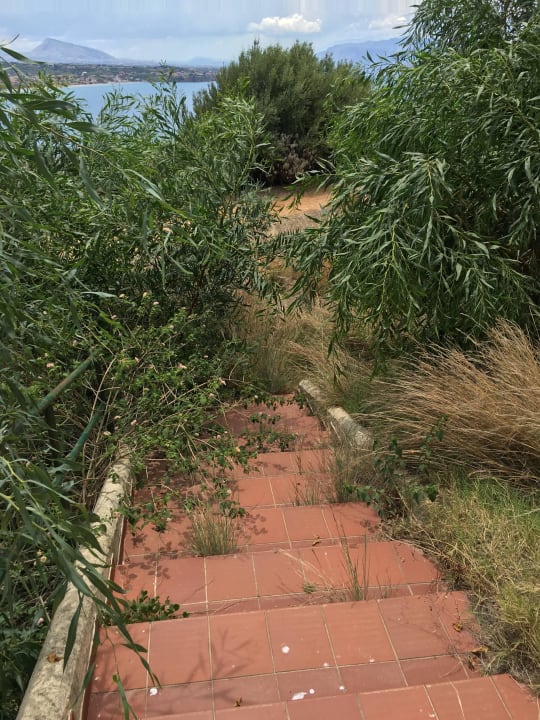 Verwachsener Weg CDSHotels Terrasini - Città del Mare